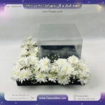 جعبه طلقی کیک و گل 360 پانوراما 30 در 30 ارتفاع 19 کد 223030192 - Image 4